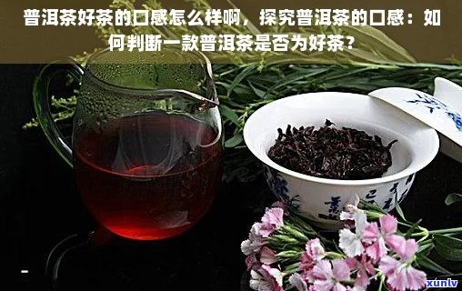 普洱茶什么样口感好：辨别优质普洱茶的口感要素与选购指南