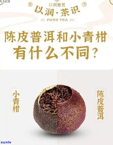 小青柑与普洱茶：哪个更好？比较陈皮普洱的味道差异