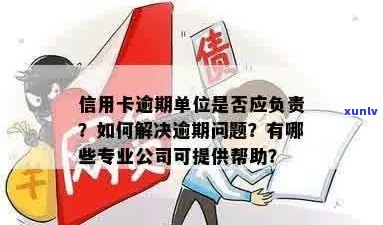 信用卡逾期单位调查：怎么办？有解决公司吗？