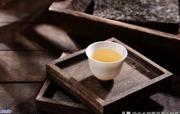 云南普洱茶性价比更高的：好喝又实，你值得拥有！