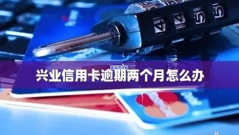 兴业信用卡逾期明细查询全攻略：详细步骤与注意事项一览