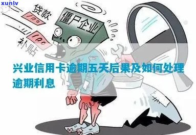 全面解答：如何查询兴业信用卡逾期时间，以及逾期后的处理 *** 