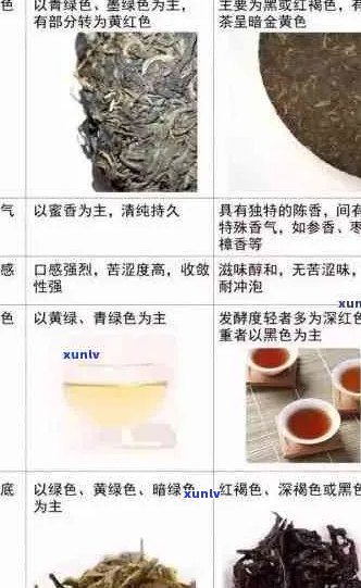 普洱茶的用料老嫩度：探究其质量与口感的关系