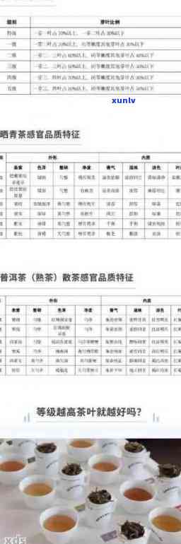 普洱茶用料等级划分标准及如何区分高低