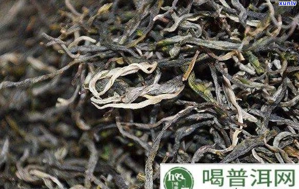 普洱茶的用料老嫩度