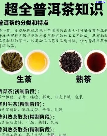 普洱茶的用料老嫩度