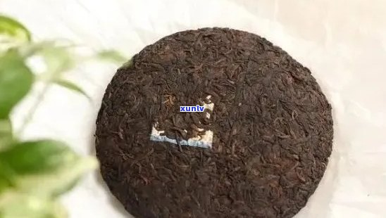 一饼普洱茶能喝几次