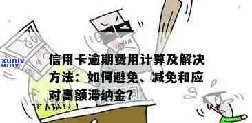 信用卡逾期金额不足5千元的处理策略与建议，避免信用受损和罚息累积