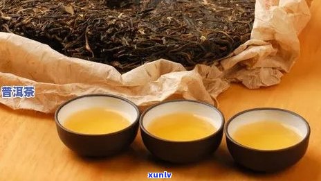 醉春秋普洱茶的价格分析，一斤多少钱？