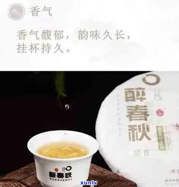 醉春秋普洱茶好不好