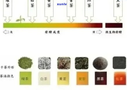 5年普洱生茶的转变：一场味觉、香气与色泽的奇妙演变