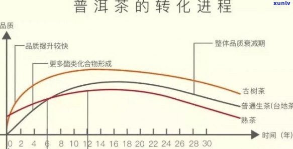 生普洱茶转化时间点