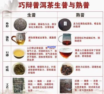 探究普洱茶的 *** 材料及其特点