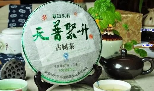 敬字号普洱茶：云南花园茶厂的敬业、敬佛与敬号饼茶