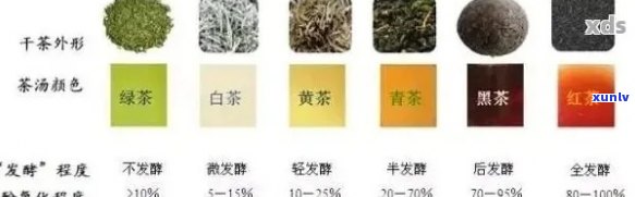 普洱茶提取物的种类及其功能，你了解多少？