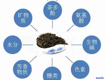 普洱茶提取物的种类及其功能，你了解多少？