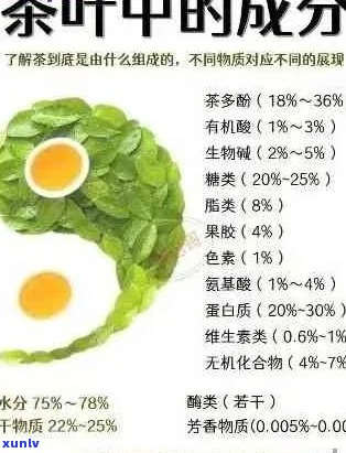 普洱茶提取物的全面分析：主要成分、功效与适用人群详解