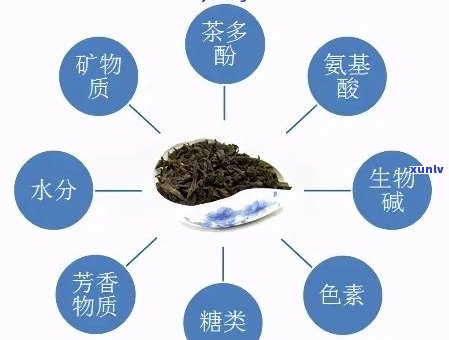 普洱茶提取物的全面分析：主要成分、功效与适用人群详解