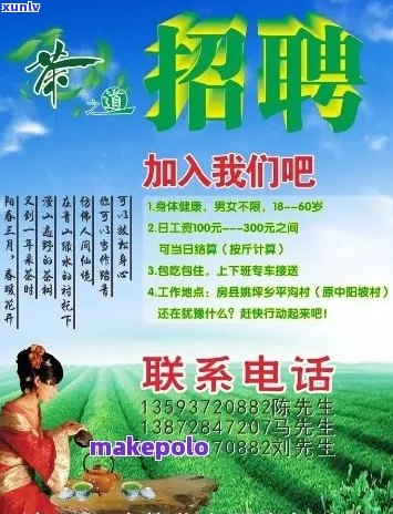 老茶客茶业 *** ：加入我们，共创茶业新辉煌！