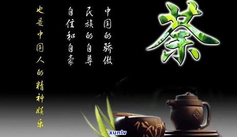 新 老茶客茶：品茗胜地，探索茶叶世界，了解茶文化与历