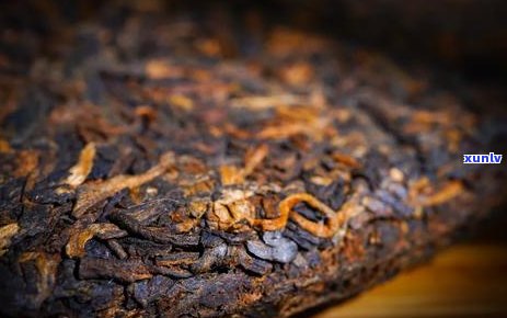 金毫普洱茶：红茶还是绿茶？探索普洱茶的分类之谜