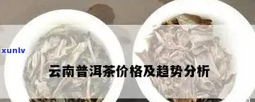 云域普洱茶全方位价格解析：从入门级到高端茶叶的各种价格信息一览无余