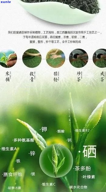 普洱茶含硒元素吗？普洱茶中硒含量有多高？