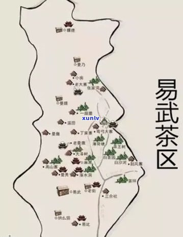 探索易武地区的普洱茶品种及其独特魅力：一份全面指南