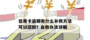 信用卡逾期怎么补救