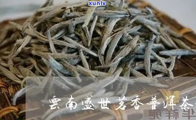 勐海世永沦普洱茶：云南世普洱茶业