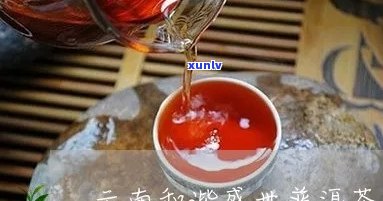 勐海世永沦普洱茶：云南世普洱茶业