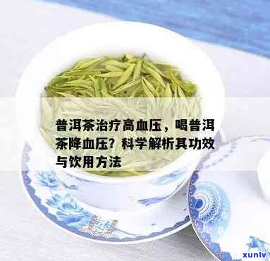 全面解决降血压需求：普洱茶对高血压的有效控制与生活调整建议