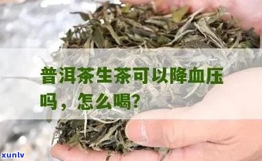 降血压能喝普洱茶么