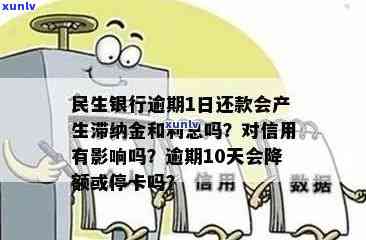 如何有效管理民生信用卡逾期金额并实现分期还款？