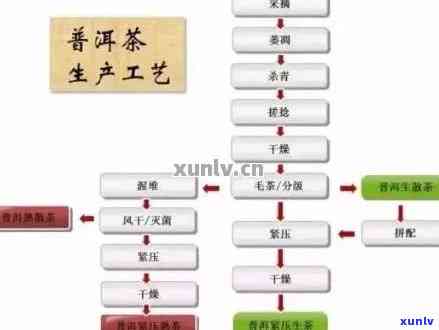 普洱茶的全流程 *** 工艺：从采摘到成品的详尽解析