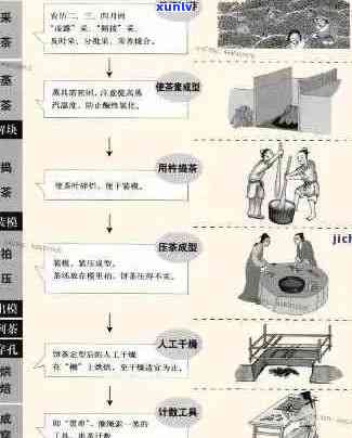 普洱茶制茶工艺及冲泡度全程解析：从开始到出场要多久？完整流程揭秘！