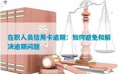 入职后信用卡违约上报的应对策略与建议