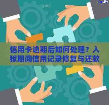 新 '信用卡逾期后的新出路：了解修复策略和解决 *** '