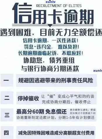 信用卡逾期问题全面解析：警方紧急提醒及应对策略，让你轻松摆脱债务困境