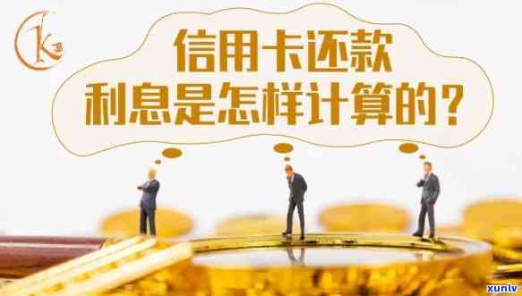 信用卡呆账还款策略：如何确定应还金额？