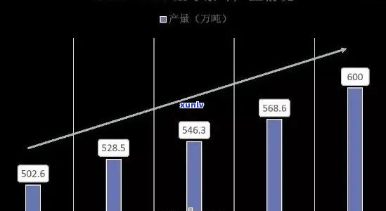 最新普洱茶价格走势：市场动态与未来预测