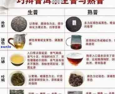 脾湿体质者是否适合饮用普洱茶？了解其作用与注意事项