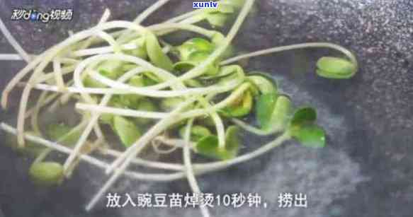 翡翠豆芽的做法大全：掌握 *** 窍门，寓意美好，品味豆苗的绿色滋味。