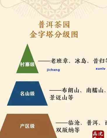 普洱茶生茶分类等级划分全解与选购指导