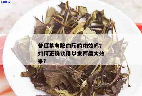 普洱茶对高血压的功效与注意事项：科学研究、喝法建议及副作用分析