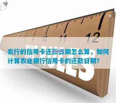 农行信用卡还款日期查询全攻略：如何确定还款日、逾期费用及提前还款操作