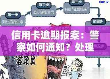 信用卡逾期报案流程及资料整理全攻略