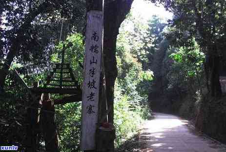 念版普洱茶-念版普洱茶是否值得收藏