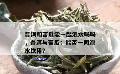 普洱茶加苦瓜怎么样