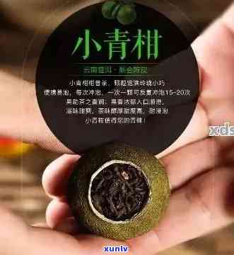 喝小青桔普洱茶坏处